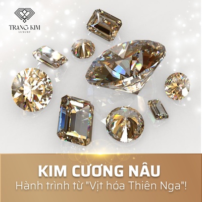 Kim Cương Nâu: Từ "kẻ ngoài lề" đến cực phẩm giới thượng lưu