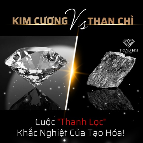Kim Cương Và Than: Sự khác biệt của "Áp lực tạo nên giá trị"