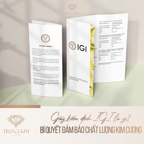 Giấy kiểm định IGI là gì? – Bí quyết đảm bảo chất lượng kim cương