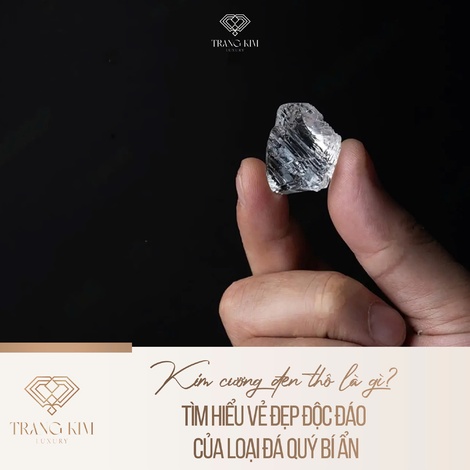 Kim Cương Đen Thô Là Gì? Tìm Hiểu Vẻ Đẹp Độc Đáo Của Loại Đá Quý Bí Ẩn