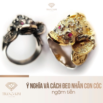 Ý nghĩa và cách đeo nhẫn con cóc ngậm tiền