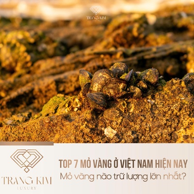 Top 7 mỏ vàng ở Việt Nam hiện nay - Mỏ vàng nào trữ lượng lớn nhất?