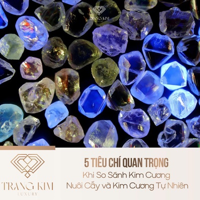5 Tiêu Chí Quan Trọng Khi So Sánh Kim Cương Nuôi Cấy và Kim Cương Tự Nhiên