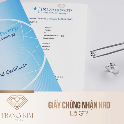 Giấy Chứng Nhận HRD Là Gì?