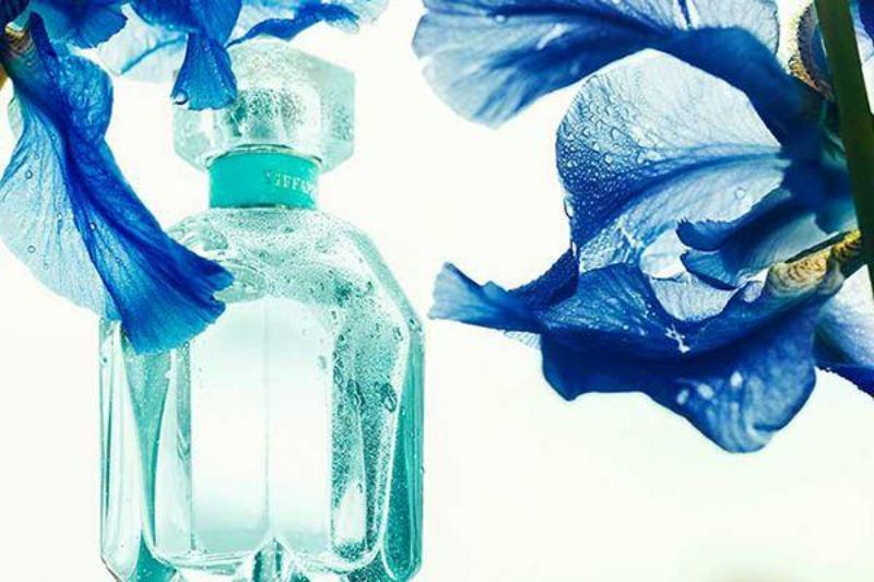 Mùi hương của nước hoa Tiffany & Co. Eau de Parfum là mùi hương hoàn hảo cho những phụ nữ muốn cảm thấy tự tin, gợi cảm và nữ tính