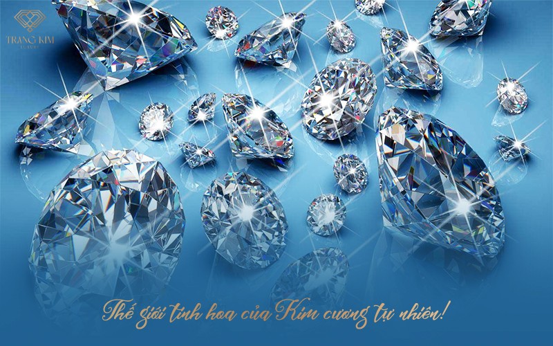 Trang Kim Luxury - Thế giới tinh hoa của kim cương tự nhiên